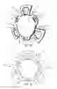 Fig. 15 - Intraocular lens structure