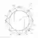 Fig. 01 - Accommodating intraocular lens assembly