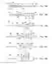 Fig. 12 - Segmented scaffolds and delivery thereof for peripheral applications