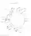 Fig. 51 - EAR WARMER HAVING A CURVED EAR PORTION