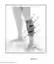 Fig. 15 - Methods and mechanisms for maintaining an electro-active polymer in a pre-stretch state and uses thereof