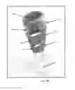 Fig. 16 - Methods and mechanisms for maintaining an electro-active polymer in a pre-stretch state and uses thereof