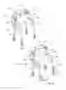 Fig. 06 - Multiple use ambulatory device