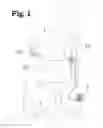 Fig. 02 - Analgesic implant device and system