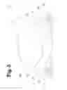 Fig. 06 - Analgesic implant device and system