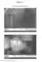 Fig. 03 - Packaged Iron Sucrose Products