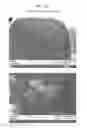 Fig. 06 - Packaged Iron Sucrose Products