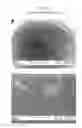 Fig. 07 - Packaged Iron Sucrose Products