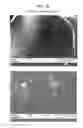 Fig. 08 - Packaged Iron Sucrose Products