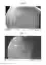 Fig. 11 - Packaged Iron Sucrose Products