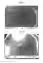 Fig. 13 - Packaged Iron Sucrose Products