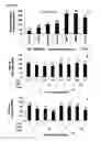 Fig. 04 - Formulations and materials with cationic polymers