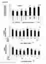 Fig. 05 - Formulations and materials with cationic polymers