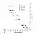 Fig. 14 - Formulations and materials with cationic polymers