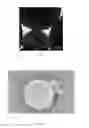 Fig. 03 - Compositions providing delayed release of actives