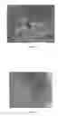 Fig. 07 - Compositions providing delayed release of actives