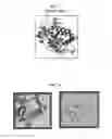Fig. 02 - Compositions of  and methods for their use in skin care