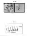 Fig. 03 - Compositions of  and methods for their use in skin care
