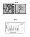 Fig. 05 - Compositions of  and methods for their use in skin care