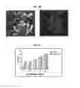 Fig. 07 - Compositions of  and methods for their use in skin care