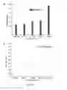 Fig. 14 - Timed release of substances to treat ocular disorders