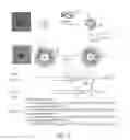 Fig. 04 - Synthetic nanostructures including nucleic acids and/or other entities