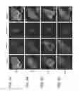 Fig. 12 - Synthetic nanostructures including nucleic acids and/or other entities