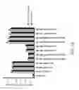 Fig. 16 - Synthetic nanostructures including nucleic acids and/or other entities