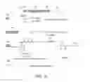 Fig. 20 - Synthetic nanostructures including nucleic acids and/or other entities