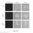 Fig. 22 - Synthetic nanostructures including nucleic acids and/or other entities