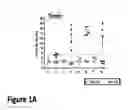 Fig. 02 - METHODS AND COMPOSITIONS FOR IMPROVING OUTCOMES OF LIPOSOMAL CHEMOTHERAPY