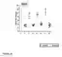 Fig. 03 - METHODS AND COMPOSITIONS FOR IMPROVING OUTCOMES OF LIPOSOMAL CHEMOTHERAPY