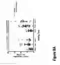 Fig. 25 - METHODS AND COMPOSITIONS FOR IMPROVING OUTCOMES OF LIPOSOMAL CHEMOTHERAPY