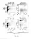 Fig. 02 - Carrier-antibody compositions and methods of making and using the same