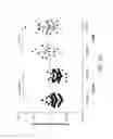 Fig. 11 - Carrier-antibody compositions and methods of making and using the same