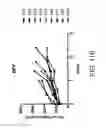 Fig. 40 - Carrier-antibody compositions and methods of making and using the same