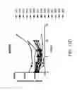 Fig. 42 - Carrier-antibody compositions and methods of making and using the same