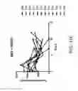Fig. 43 - Carrier-antibody compositions and methods of making and using the same