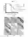 Fig. 04 - Eluting matrix and uses thereof