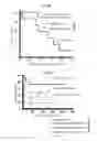 Fig. 13 - Eluting matrix and uses thereof