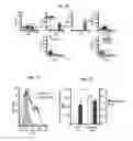 Fig. 16 - Eluting matrix and uses thereof