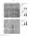 Fig. 03 - Methods and compositions for treating kidney disorders