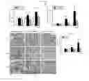 Fig. 09 - Methods and compositions for treating kidney disorders
