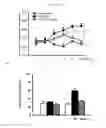 Fig. 10 - Methods and compositions for treating kidney disorders