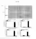 Fig. 16 - Methods and compositions for treating kidney disorders