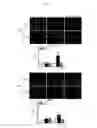 Fig. 19 - Methods and compositions for treating kidney disorders