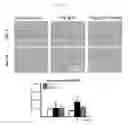 Fig. 23 - Methods and compositions for treating kidney disorders