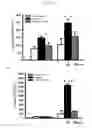 Fig. 24 - Methods and compositions for treating kidney disorders