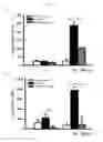 Fig. 25 - Methods and compositions for treating kidney disorders