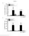Fig. 33 - Methods and compositions for treating kidney disorders